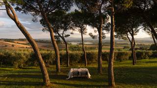 Experience Lunch | Pines Left foto