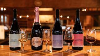 Guided Wine Tasting - At The Bar Photo