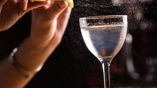 Martini Masterclass 101 — Shaken or stirred? photo