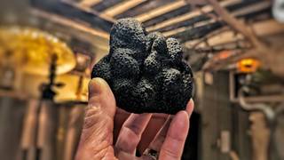 Menu Truffe Noire foto