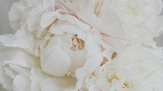 Savour Pentecost – A Sunday of Flavour foto