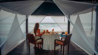 Mariachi and Margaritas by the Sea foto