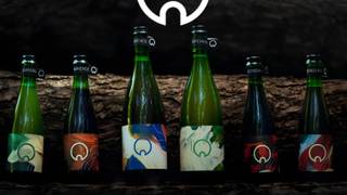 Beer Tasting and Small Plates foto