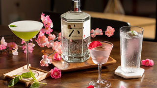House of Suntory Cocktail Pairing Dinner foto