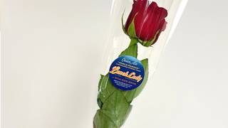 Mother's Day Flower (Add-On) foto