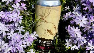 Mother's Day Beer Brunch foto
