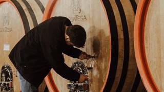 Wine Dinner with Contesa - Vigne e Vini Photo