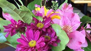 Mother's Day Specials foto