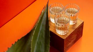 写真（Tequila Dinner）
