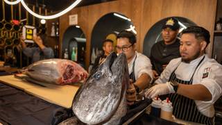 120 LBS. BLUEFIN TUNA CUTTING CEREMONY foto