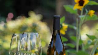 Meet the Winemaker: Aaron Miller of Plumpjack! Photo