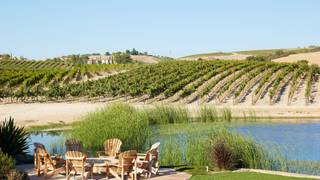 Battle of the Chefs with Chardonnay Photo