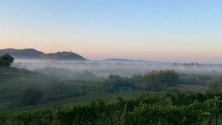 Antico Nuovo X I Clivi Winery foto