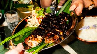 Achara @ All Together Now - Dinner foto