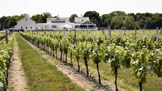 Local Wine Dinner: Shands General x Bedell Cellars Photo