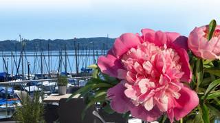 8. und 9. Juni Pfingstbrunch Photo