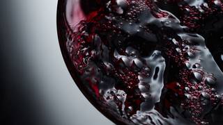 French Wine & Cognac Tasting w/ David Biraud foto