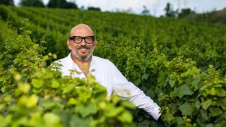 ITALIAN BUBBLES DINNER with CA DEL BOSCO foto