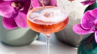 Rosé Soirée Photo