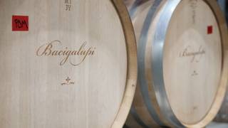 Bacigalupi Three Valley Wine Dinner Series Photo