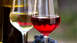 Wine Walk: SummerEdition Photo