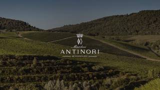 Antinori Wine Dinner foto