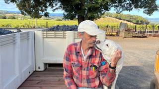 Wine Tasting Series: An Evening with Fred Scherrer foto