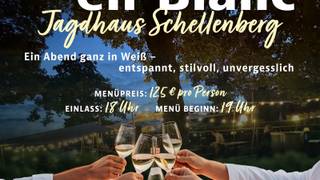 Diner en Blanc foto
