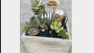 Beer Garden Succulents Workshop Photo