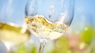 Cheers to 20% off! Photo