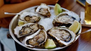 Oyster Tuesdays Photo