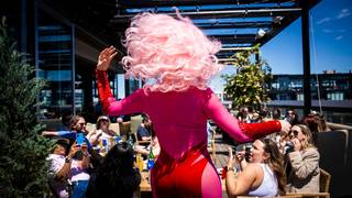 Musical Bingo Brunch at Harriet's Rooftop foto