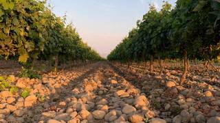 Bodega Murga Wine Dinner @ The Communal Photo
