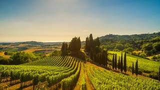 Wines of the Mediterranean Wine Tasting foto