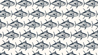Mare Nostrum - Seafood Feast foto