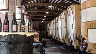 Paltrinieri Winemaker Dinner foto