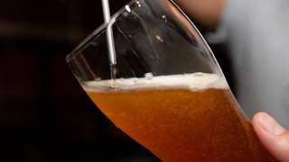 Gambrinus Beer Dinner foto