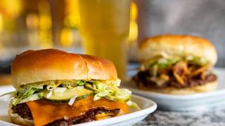HarbourCats Happy Hour Photo