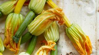 Squash and Squash Blossom Harvest "Dirt Dinner" foto