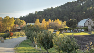 Thacher Wine Dinner photo