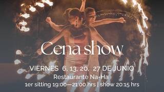 Show de Fuego foto