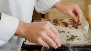 Linden Vineyards Wine Dinner Photo