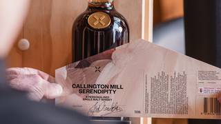 The Serendipity Experience foto