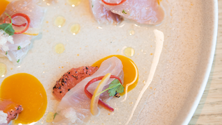 Tasting Series | Crudo foto