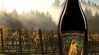 Meet the winemaker at Stella! foto