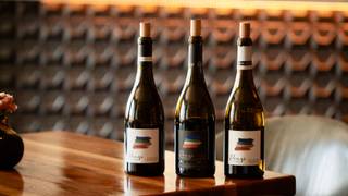 Ponzi Vineyards Wine Dinner foto