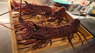 Kizuna (Lobster) Course foto
