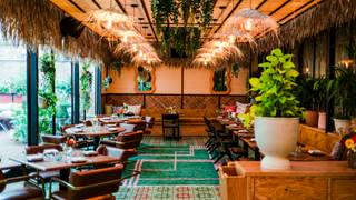 Tropicalia Garden foto