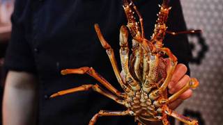 Monday: Half WA Lobster saffron rice foto