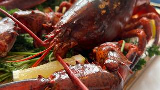 🦞 Lobster Lovers, Rejoice! 🦞 foto